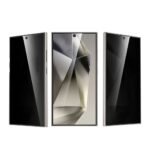 Green Lion 9H Privacy Shield fingerprint Unlock Privacy Glass - S24 Ultra - Black - Image 2