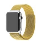 Apple Milanese Loop 42/44/45mm - Gold Alloy