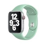 New Silicone Sport Band for Apple Watch 42/44/45mm - Light Green