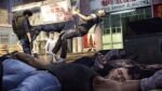 Sleeping Dogs Definitive Edition (Ps4) - Image 3