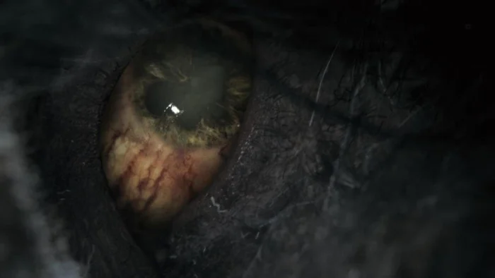 Bloodborne (Game of the Year Edition) PS4 - Image 2