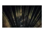 Dark Souls Trilogy PlayStation 4 - Image 7