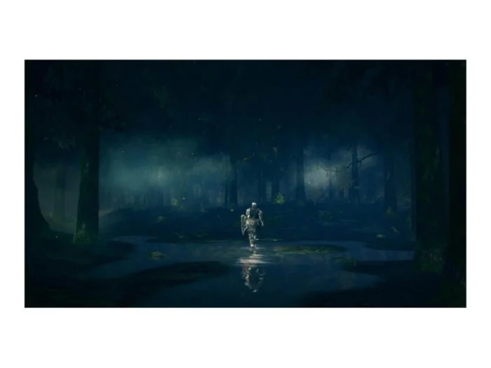 Dark Souls Trilogy PlayStation 4 - Image 4